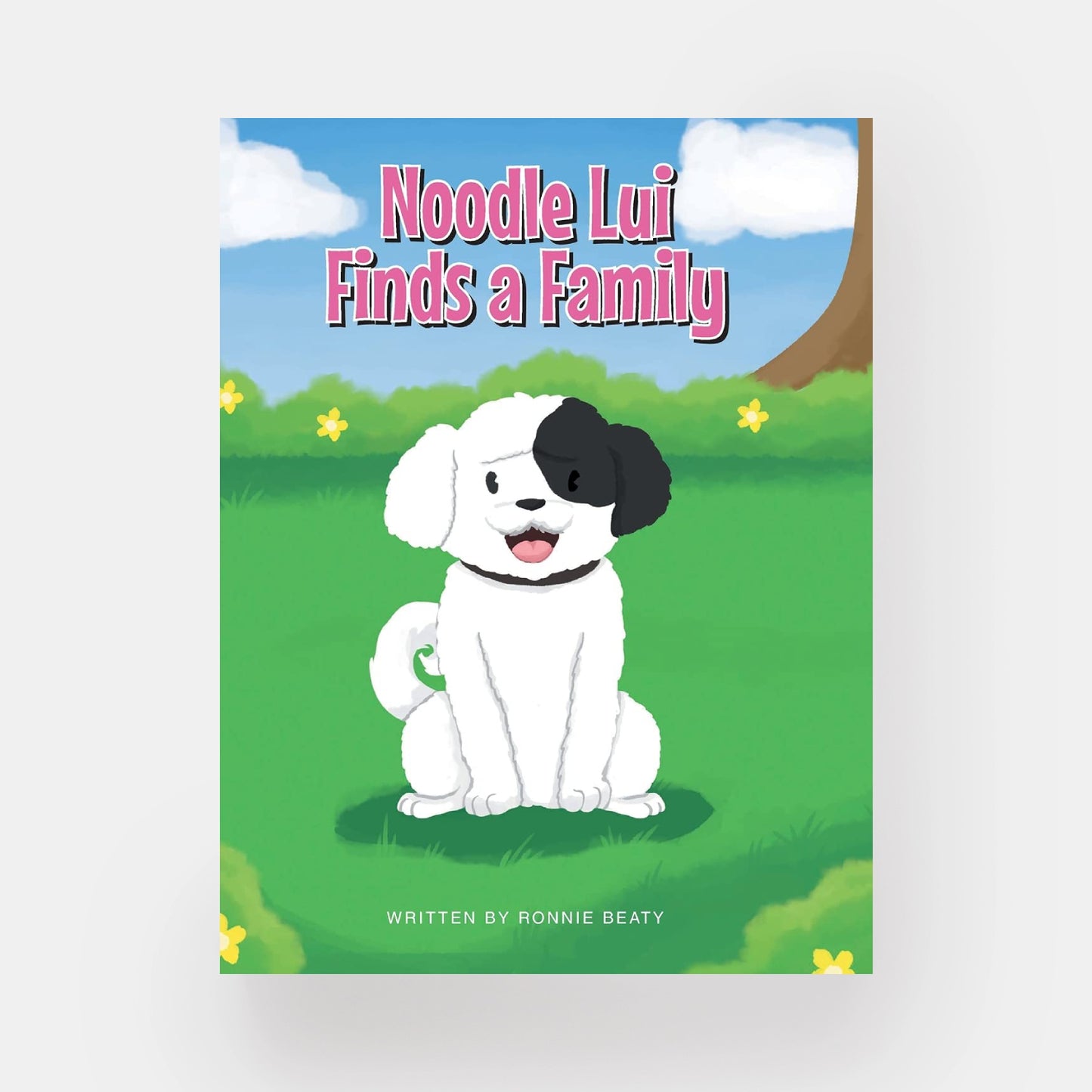 Noodle Lui Finds a Family