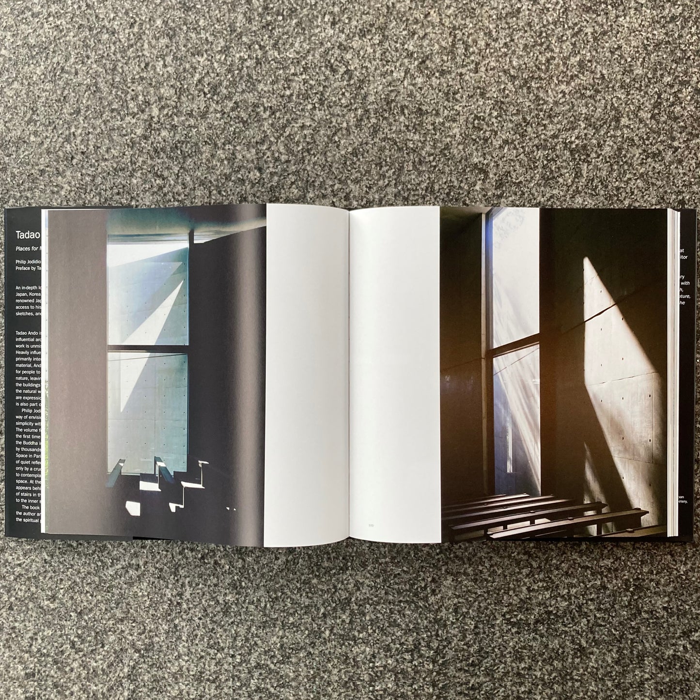 Tadao Ando: Spirit: Places for Meditation and Worship