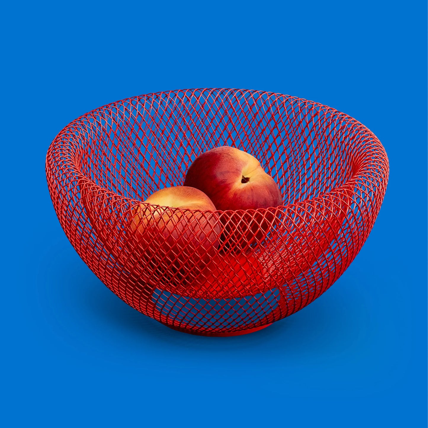 Wire Mesh Bowl