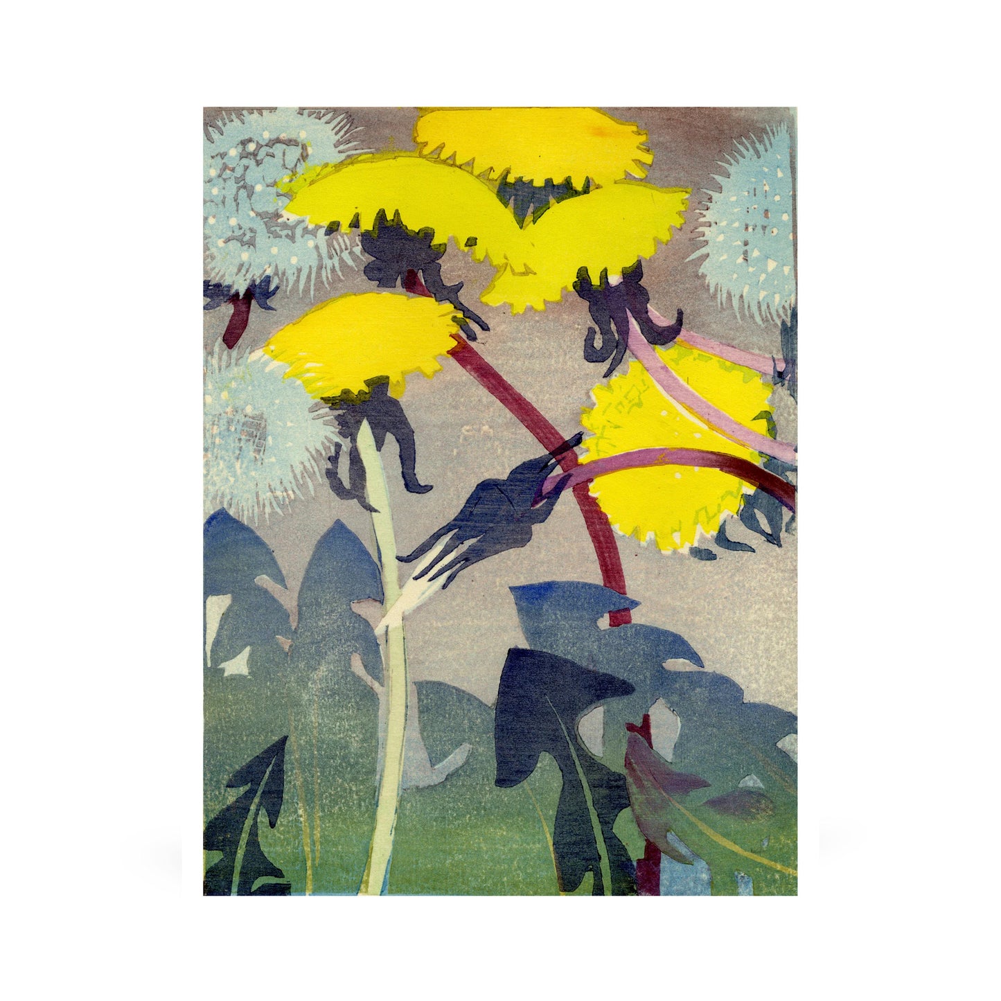 Mabel Royds: Dandelions Small Boxed Cards