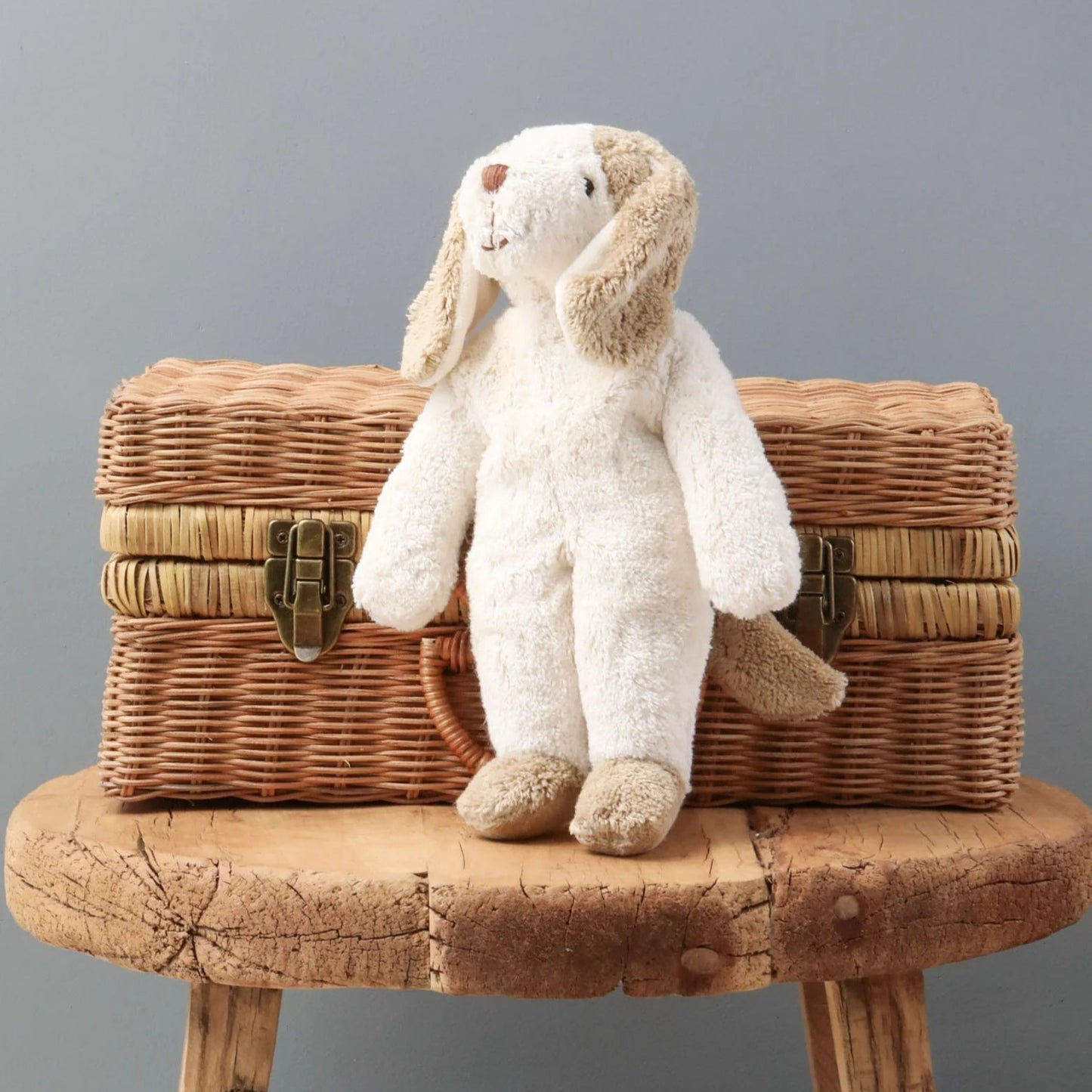 Dog Plush - Medium