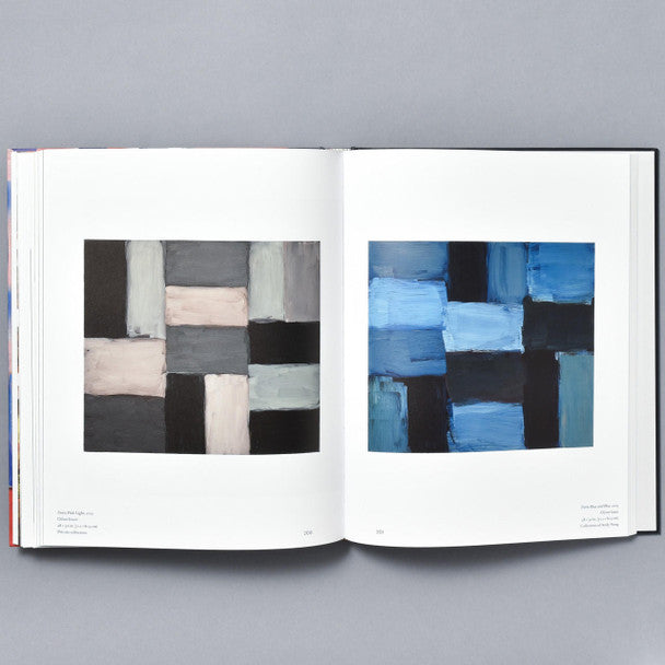 Sean Scully: The Shape of Ideas