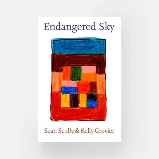 Sean Scully & Kelly Grovier: Endangered Sky