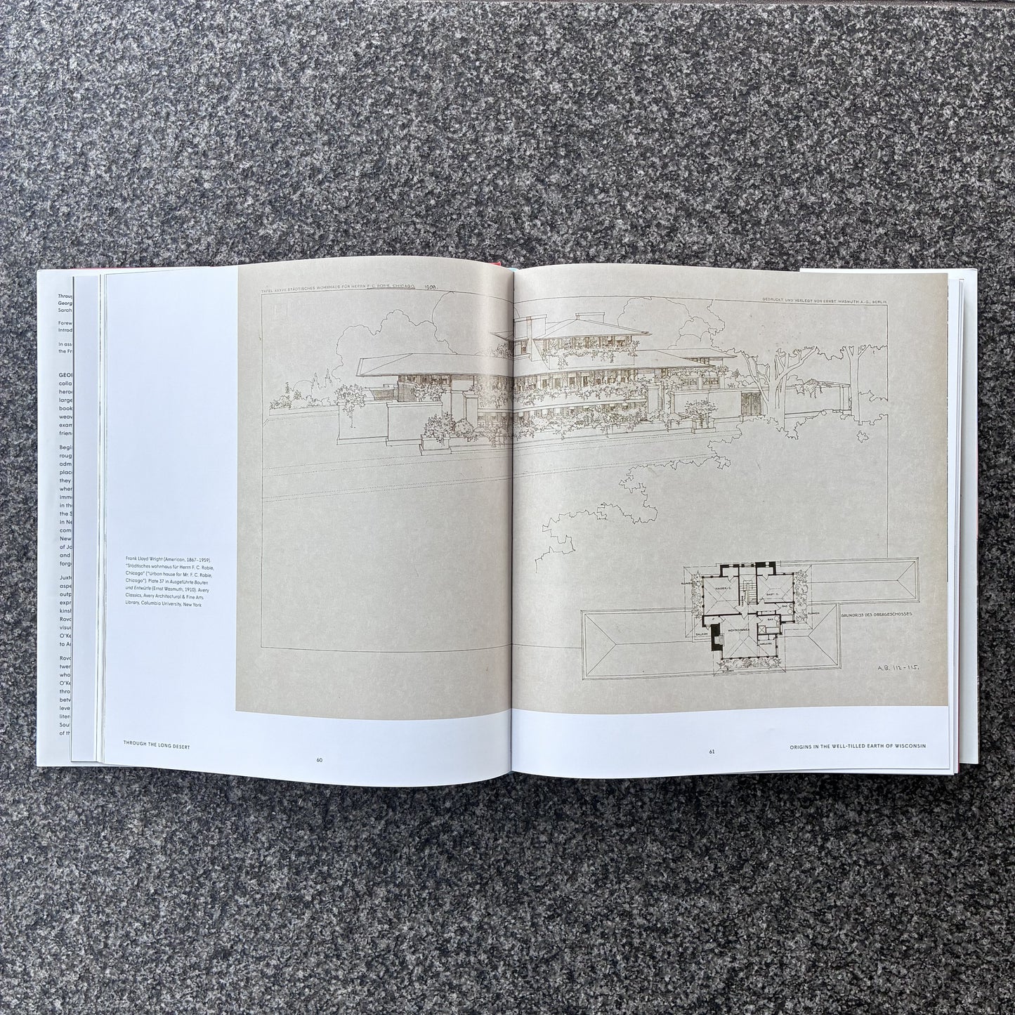 Through the Long Desert: Georgia O'Keeffe and Frank Lloyd Wright