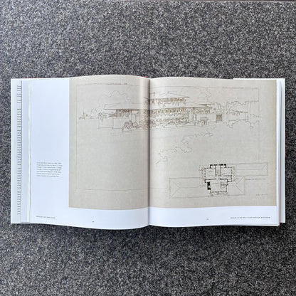 Through the Long Desert: Georgia O'Keeffe and Frank Lloyd Wright