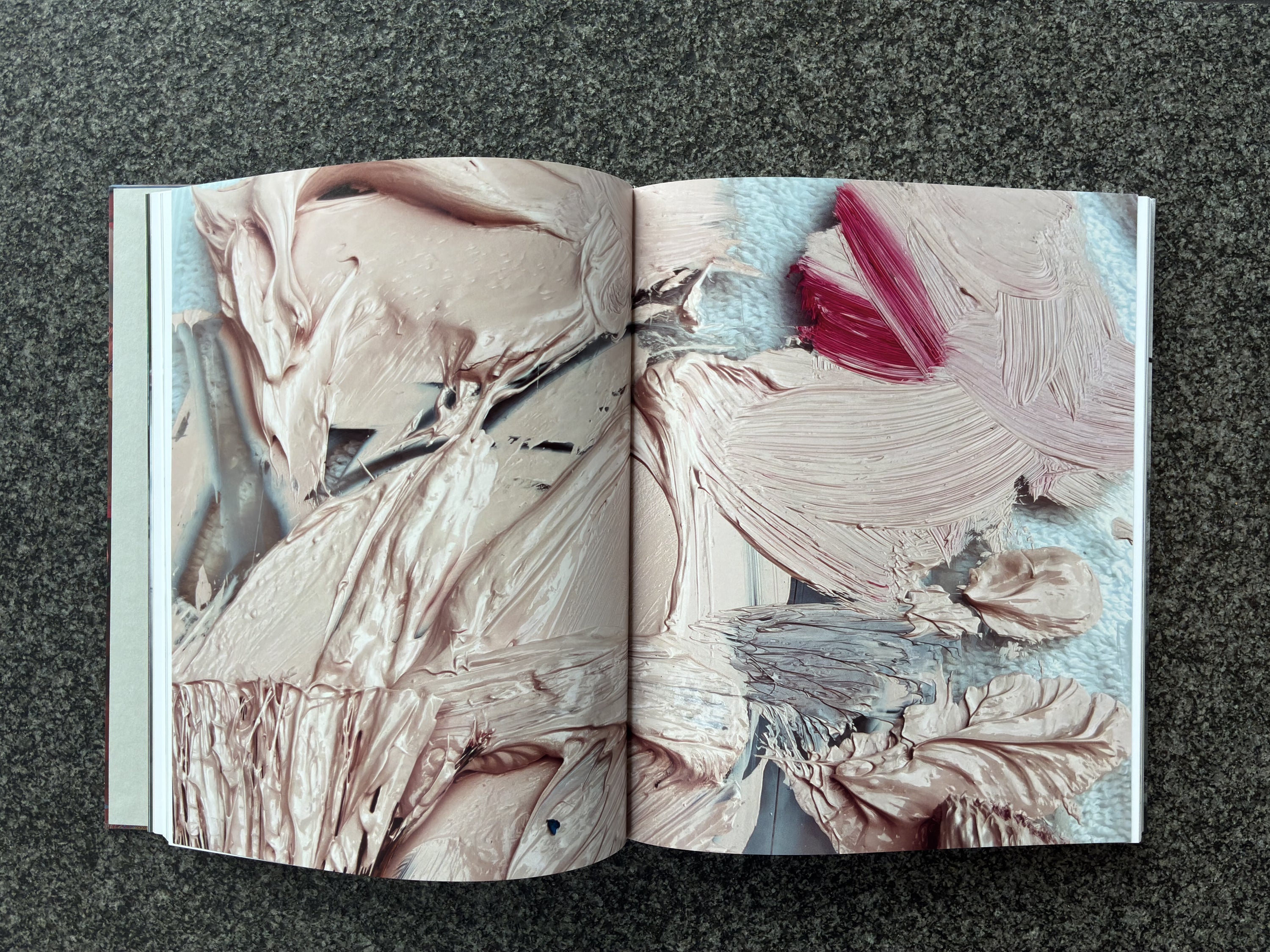 Jenny Saville: The Anatomy of Painting Exhibition Catalogue – The