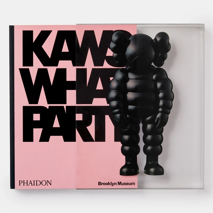 Kaws top What Party Vinyl Figure Poster