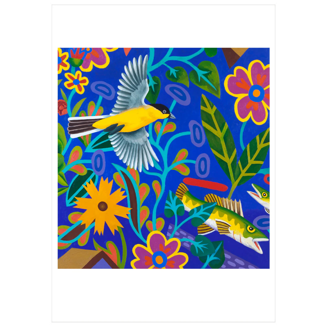 Into the Blue: Birds by Billy Hassell Boxed Notecard Assortment