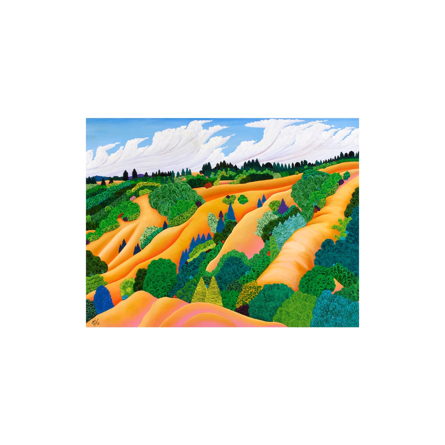 Jack Stuppin Boxed Notecard Assortment